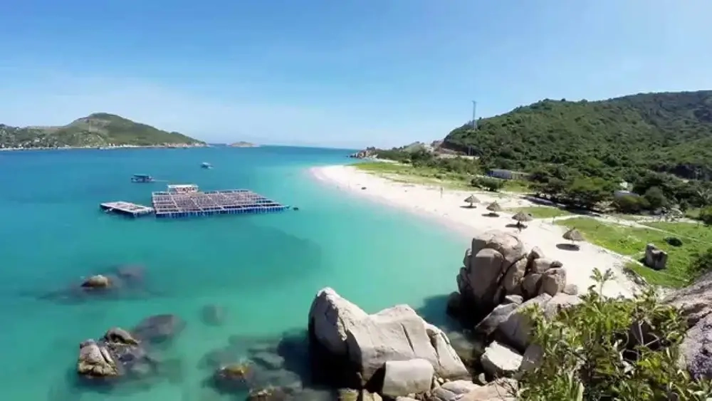 Check ngay tọa độ Bãi Kinh Bình Hưng ở đâu nhé