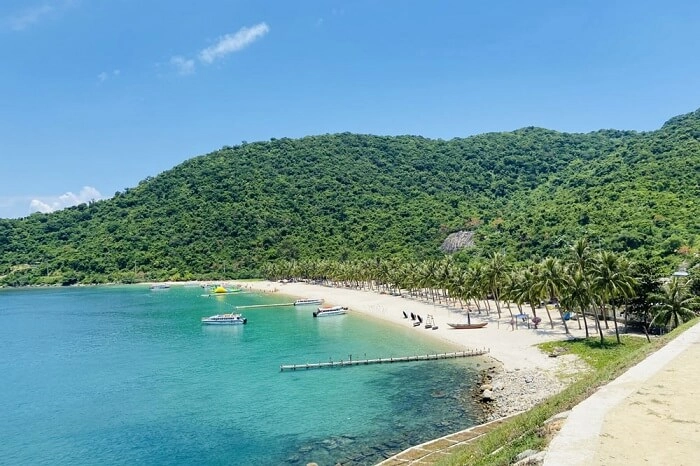 Khám phá ngay giới thiệu về bãi ông với nhiều điều thú vị