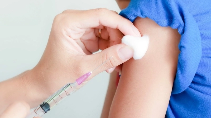 Mẹo và biện pháp chữa trị khi bị heo cắn