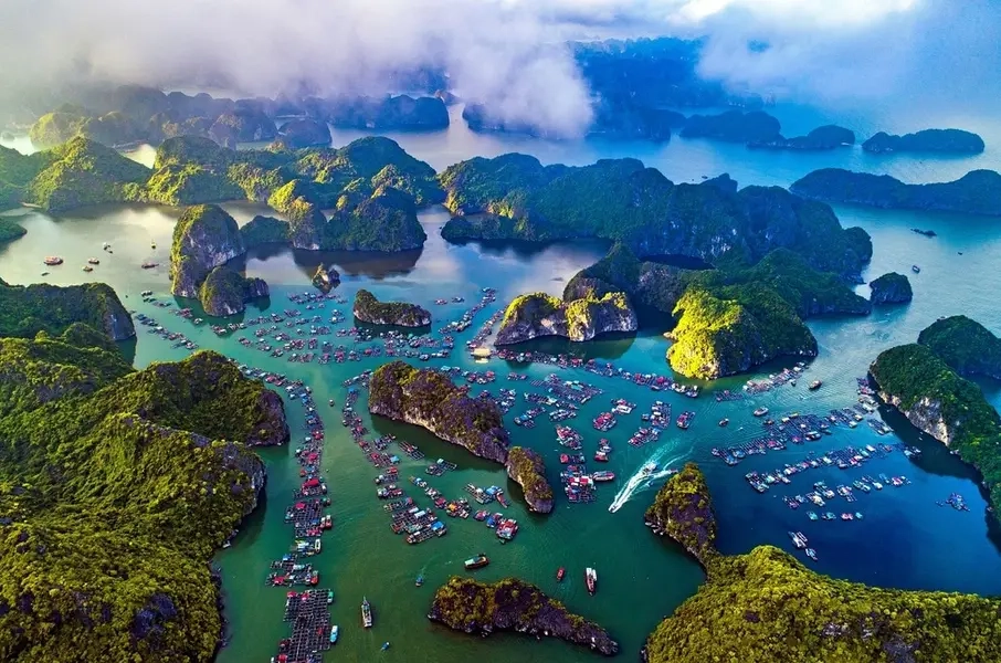 Khám phá nhẹ nhàng làng chài Cái Bèo ở đâu