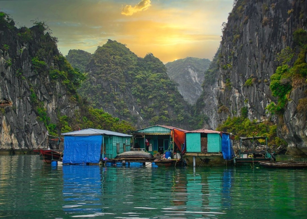 Gợi ý khéo léo khi nào nên đến làng chài Cái Bèo