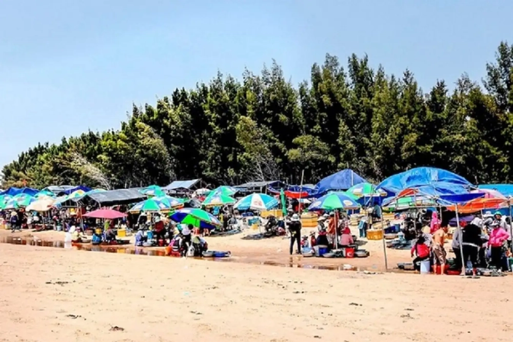 Đừng bỏ lỡ khám phá chợ hải sản ven biển tươi ngon