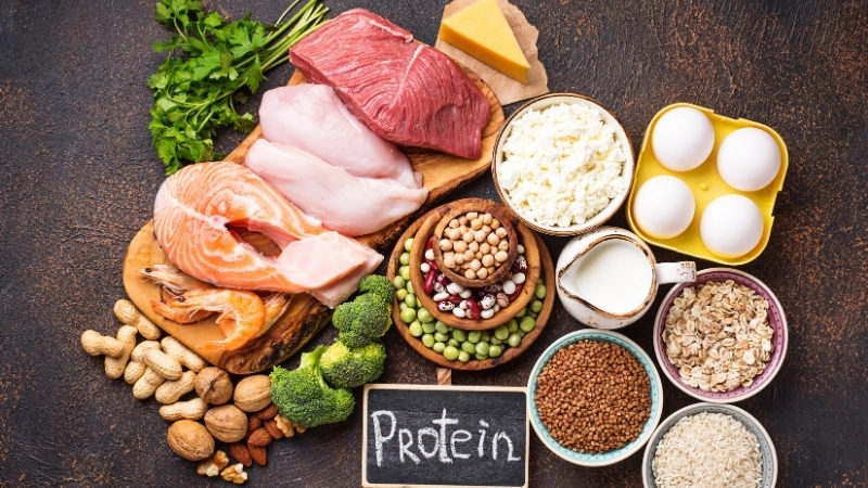 Phân biệt chất đạm động vật và chất đạm thực vật