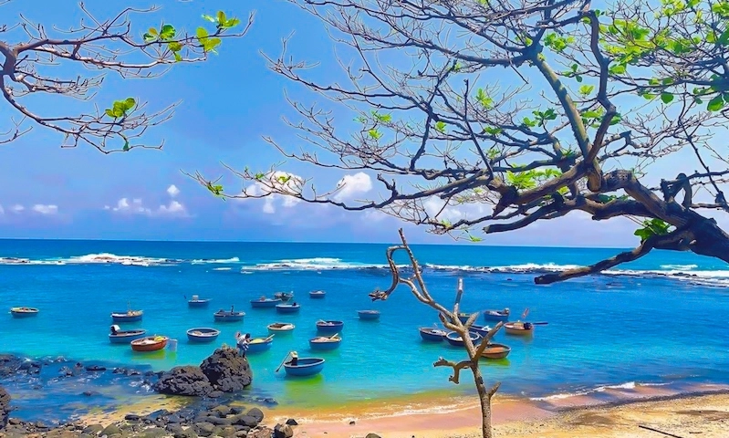 Đừng bỏ lỡ thời điểm đẹp nhất để khám phá biển châu tân