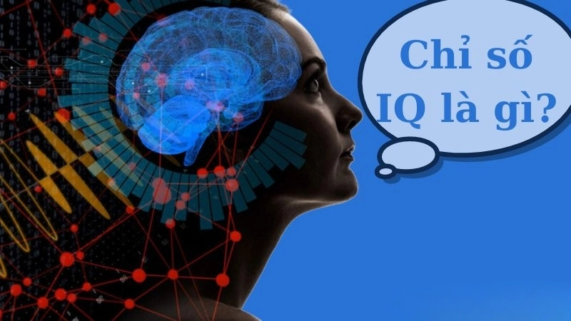 Chỉ số IQ là gì? 