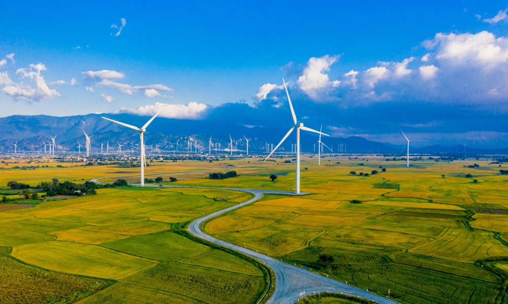 Cù Lao Thu thêm lãng mạn với cánh đồng quạt gió mênh mông giữa trời