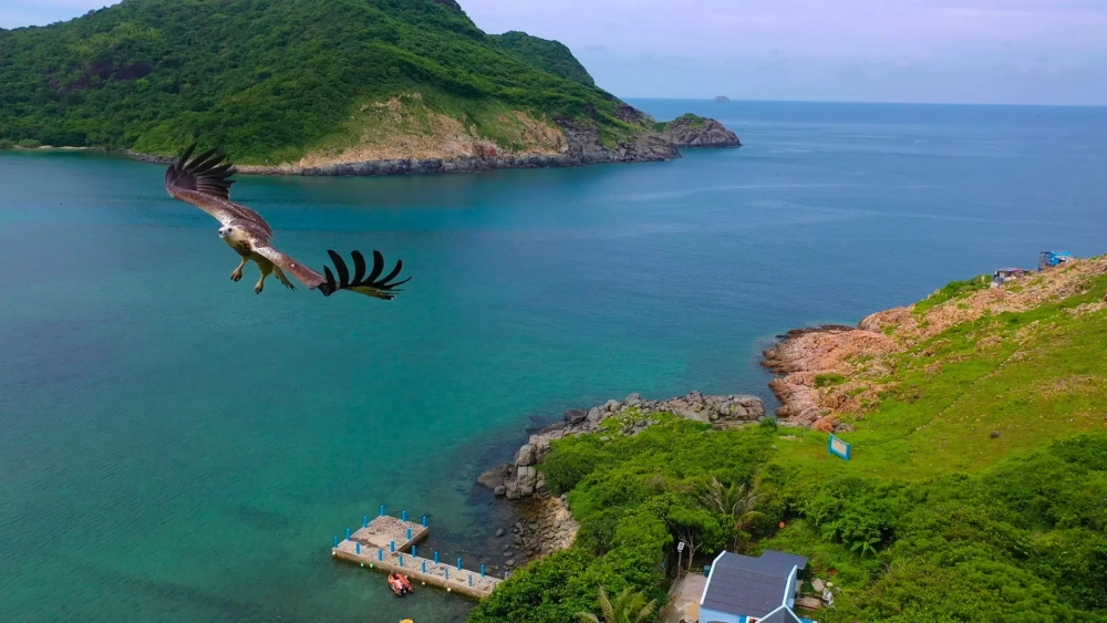 Khám phá ngay Giới thiệu về Vịnh Đầm Tre