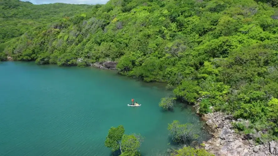 Khám phá ngay hệ sinh thái đa dạng