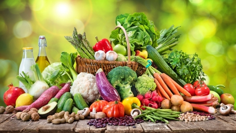 Vai trò của các chất dinh dưỡng