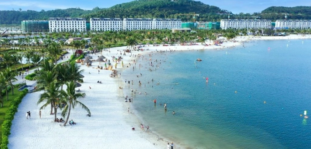 Khám phá giới thiệu về biển Đồi Rồng hấp dẫn