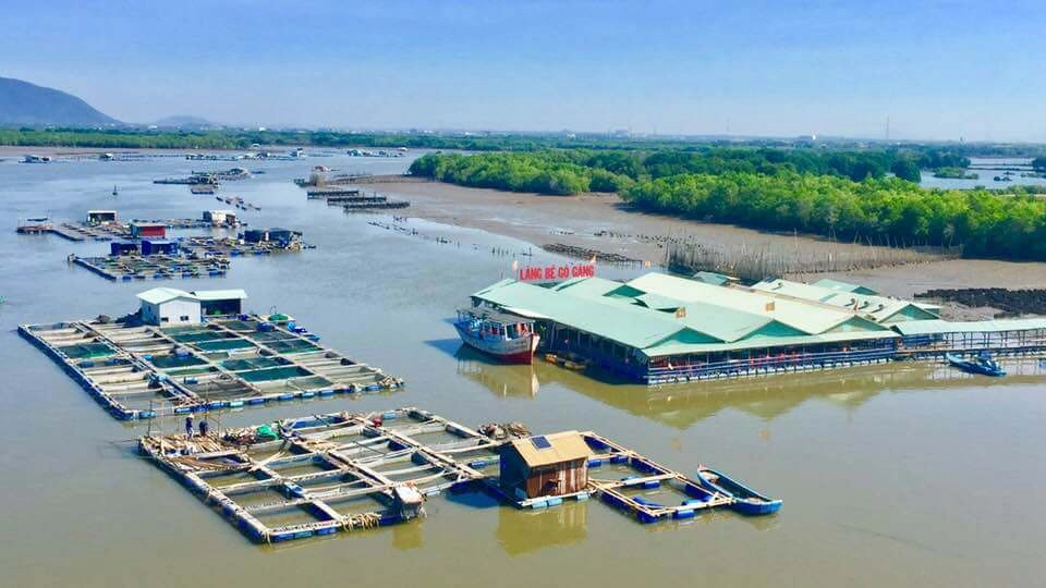 Hòa mình Trải nghiệm cuộc sống làng chài bình dị êm đềm