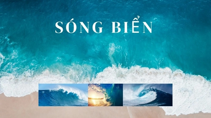 Hiểu rõ sóng biển là gì và giải thích nguyên nhân hình thành sóng biển từ năng lượng gió truyền vào mặt nước