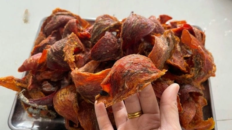 Hiểu yến huyết là như thế nào qua hình ảnh tổ yến màu đỏ đặc trưng, biểu tượng của sự quý hiếm
