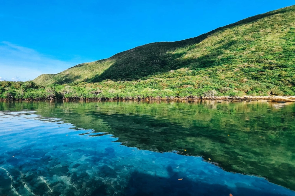 Khám phá hệ sinh thái trải nghiệm rừng ngập mặn độc đáo ở Hòn Bảy Cạnh