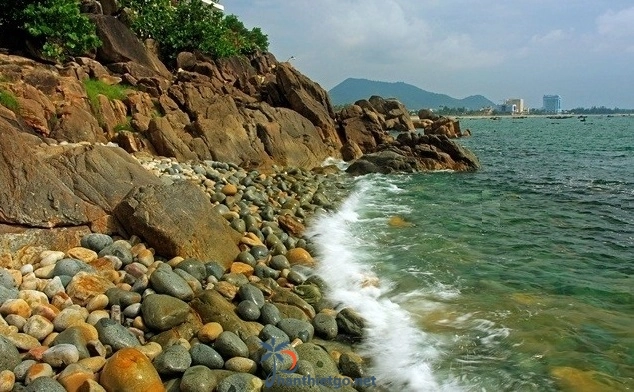 Say mê với Khám phá hệ sinh thái đa dạng