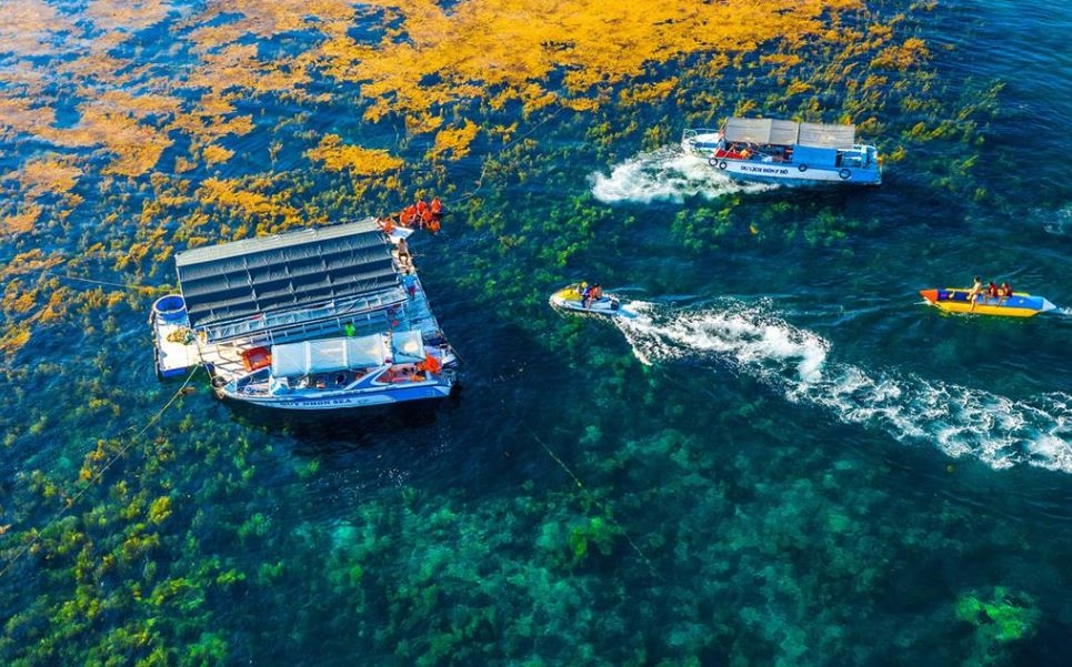 Chi tiết hướng dẫn di chuyển đến hòn khô quy nhơn an toàn