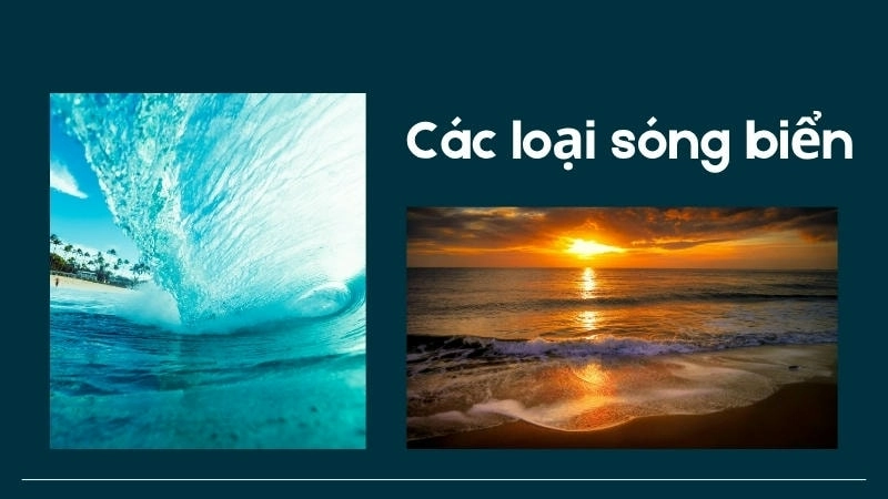 Khám phá các loại sóng biển và tại sao có sóng biển do nhiều yếu tố như gió, động đất và thủy triều