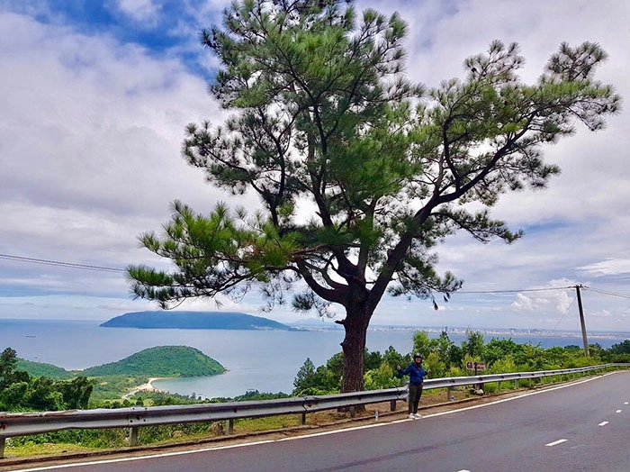 Ghé thăm cây thông cô đơn giữa khung cảnh thơ mộng