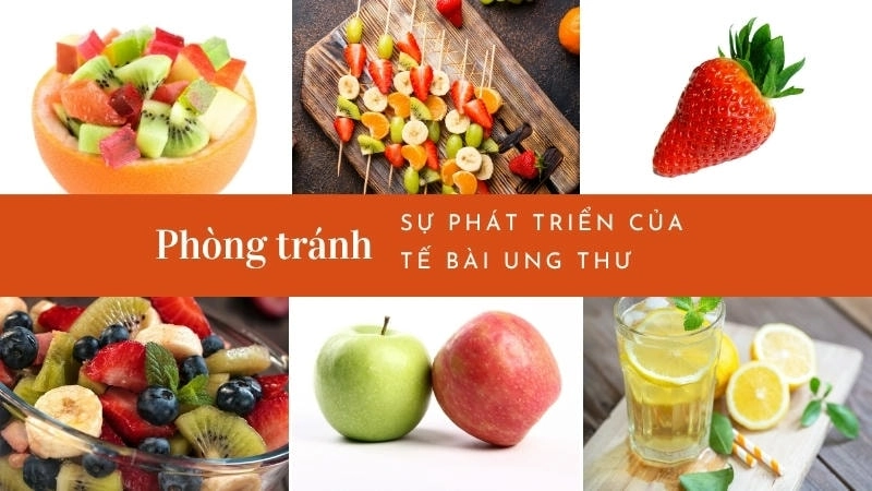 Lựa chọn thực phẩm tươi sống, ít đường để hỗ trợ cơ thể chống lại bệnh tật
