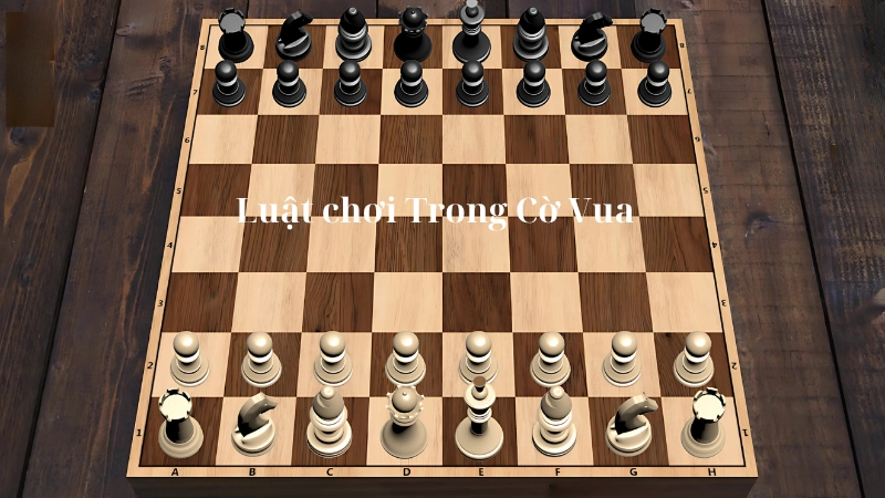 Luật Cơ Bản Trong Cờ Vua