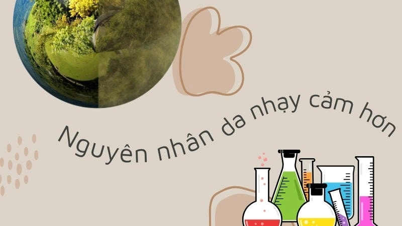 Ô nhiễm môi trường và hóa chất trong mỹ phẩm là nguyên nhân phổ biến gây kích ứng da nhạy cảm.