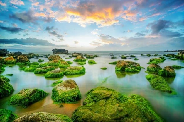 Khám phá ngay giới thiệu về Rạn Nam Ô đầy hấp dẫn