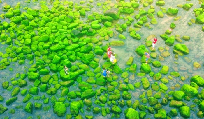 Lưu lại khoảnh khắc sống ảo cùng những mỏm đá rêu phong