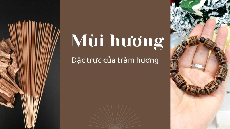 So sánh mùi hương đặc trưng, trầm hương tự nhiên có mùi gì để tránh hàng giả