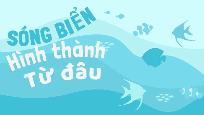 Sóng biển được hình thành từ đâu với sức mạnh kinh ngạc, cho thấy năng lượng sóng biển tiềm ẩn có thể khai thác