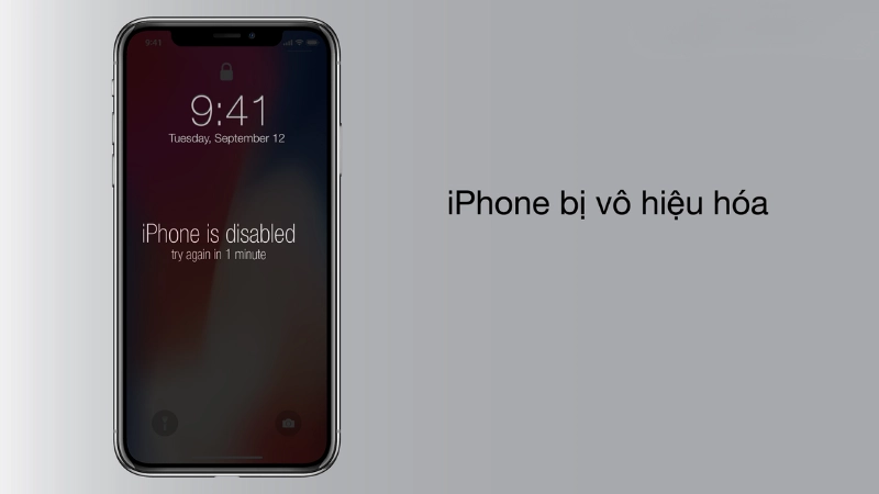 Nguyên nhân khiến iphone bị vô hiệu hóa