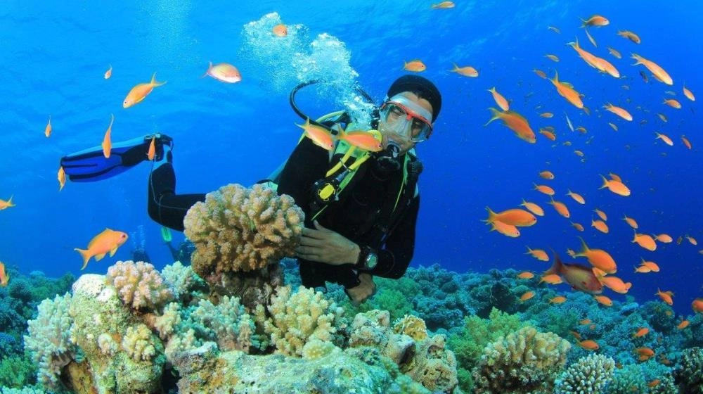 Thử ngay tắm biển và lặn ngắm san hô tại vùng biển xanh