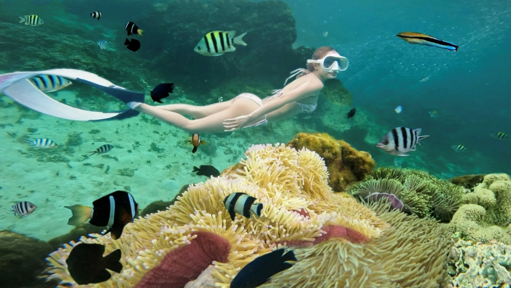 Đừng bỏ lỡ lặn biển khám phá đại dương nơi đây