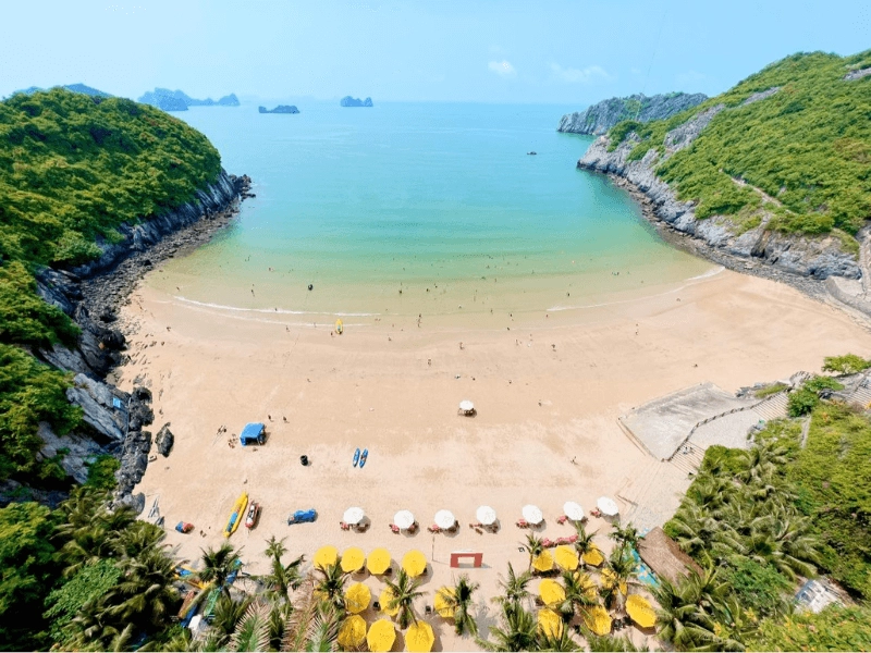 Cùng đón gió và đắm chìm trong không gian biển cả thơ mộng