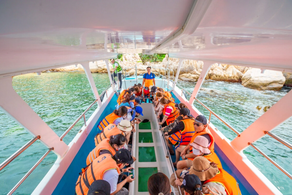 Ngắm đáy biển cực chill với đi tàu đáy kính