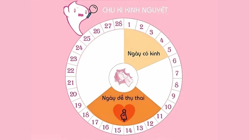 Vòng kinh 26 ngày có bị sao không?