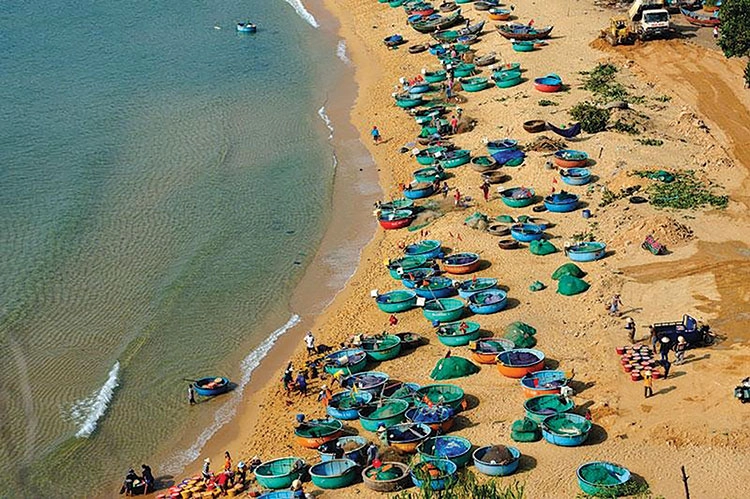 Đừng bỏ lỡ ngắm cảnh lao động nhộn nhịp của làng chài vào sớm mai