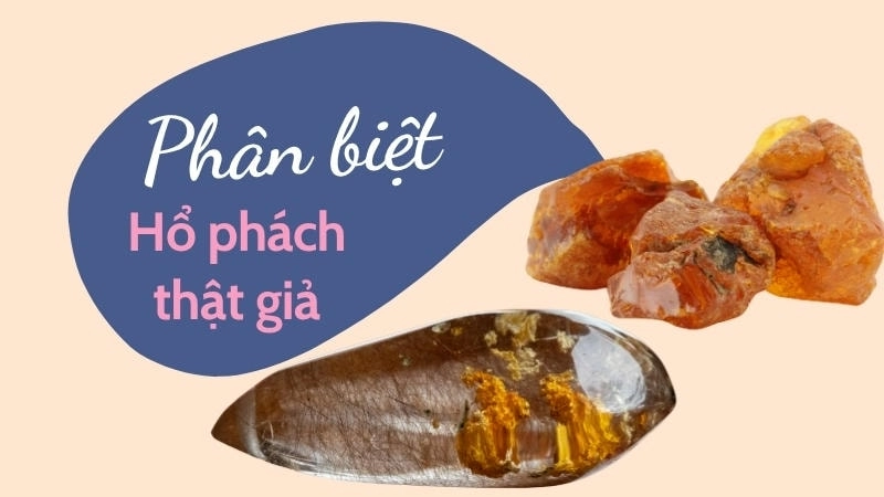  Hổ phách thật mang vẻ đẹp tự nhiên và giá trị vượt thời gian