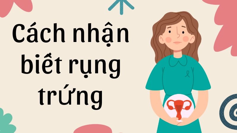 Cách nhận biết rụng trứng giúp canh ngày hiệu quả