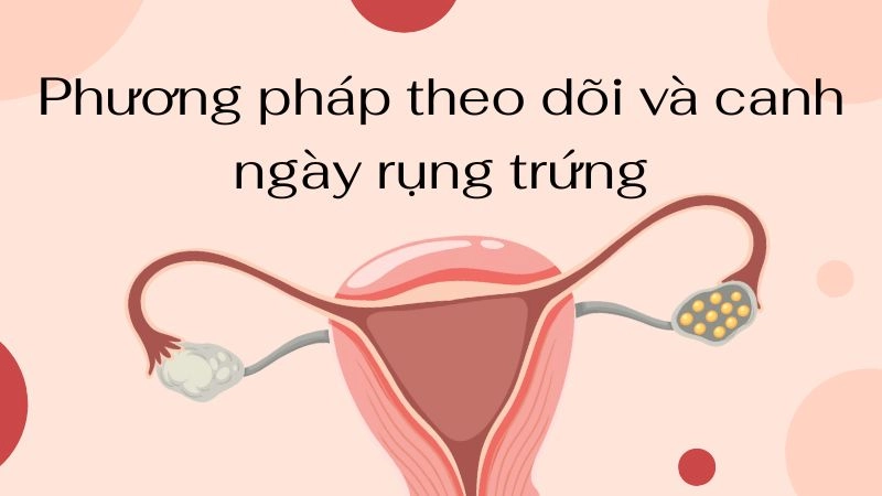 Phương pháp theo dõi và canh ngày rụng trứng tại nhà