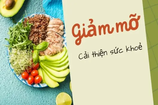 Mỡ được hình thành như thế nào? Bí ẩn đằng sau lớp năng lượng dự trữ
