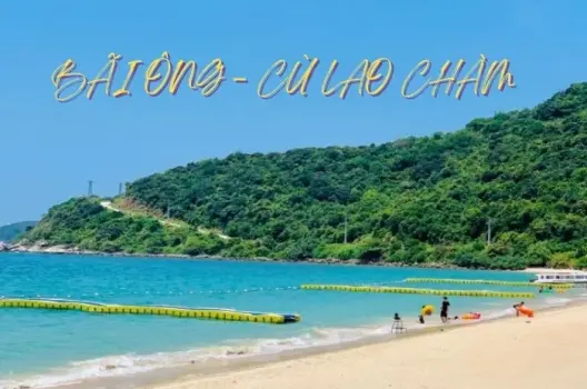 Trải nghiệm lặn ngắm san hô tại Bãi Ông Cù Lao Chàm