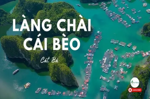 Khám phá làng chài Cái Bèo - Thành phố nổi giữa vịnh Cát Bà