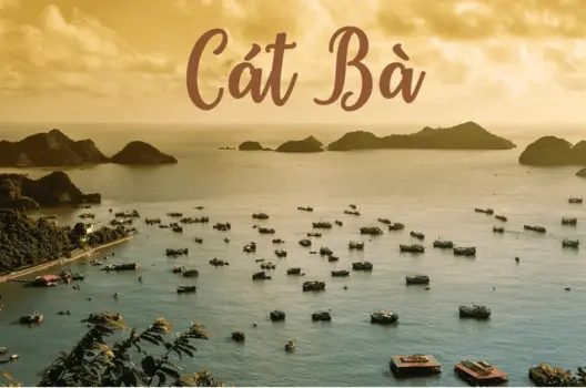 Top trải nghiệm thú vị không thể bỏ lỡ tại biển Cát Bà