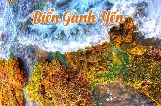 Ngỡ ngàng vẻ đẹp hoang sơ của Gành Yến Quảng Ngãi