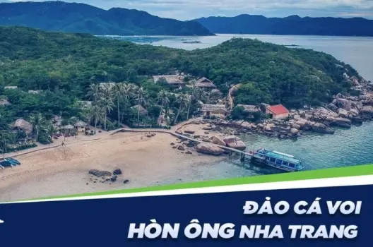 Vẻ đẹp nguyên sơ của Hòn Ông giữa vịnh Vân Phong