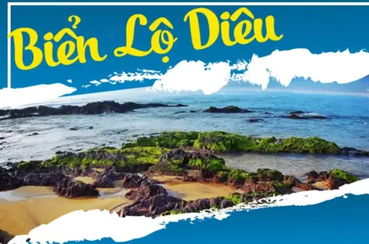 Bãi biển Lộ Diêu - Nét hoang sơ quyến rũ giữa lòng Bình Định