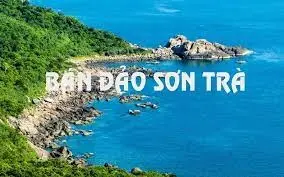 Khám phá Sơn Trà - Nơi giao hòa giữa rừng xanh và biển cả