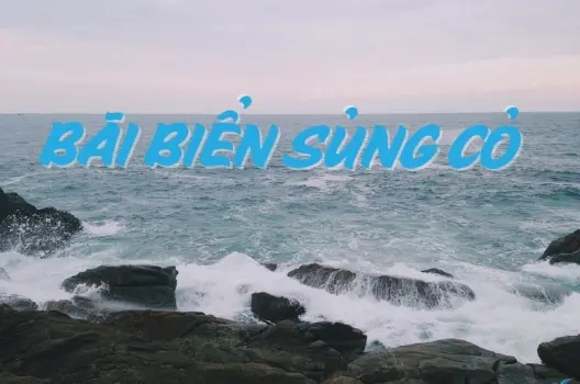 Bãi biển Sủng Cỏ - Nơi lý tưởng để hòa mình vào thiên nhiên