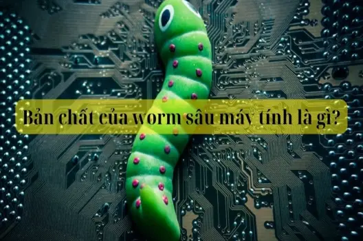 Bản chất của worm sâu máy tính là gì và mức độ nguy hiểm