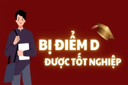 Bị điểm D có sao không ảnh hưởng GPA như thế nào